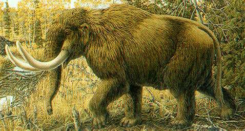 Mastodon